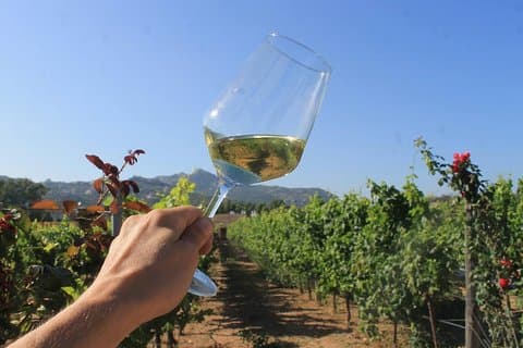 GRANITE & WINE OF GALLURA (North East Sardinia)