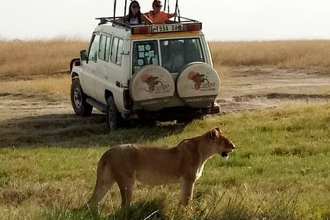 4 dages overkommelig Tanzania Budget Safari