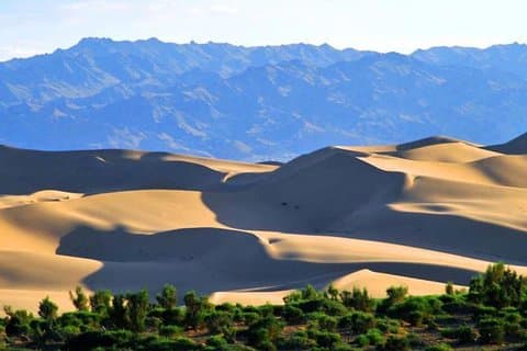 8 Days Tour in Gobi Desert