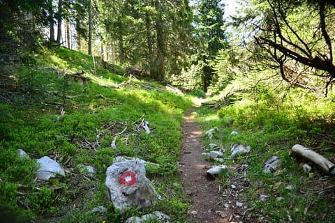 Vandring Cvrsnica berg