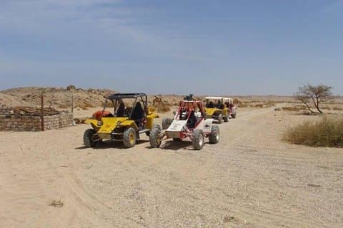 El Gouna Sahara Dune Buggy Morning Adventure