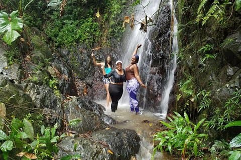 El Yunque Rainforest - Drive Yourself & Meet your Guide