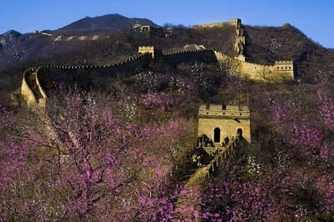 Peking-dagstur till Himmelska fridens torg, förbjudna stad och Mutianyu-muren