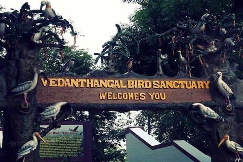 Besuch des Vogelschutzgebietes Vedanthangal von Chennai