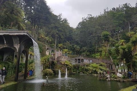 Private Halfday Madeira Garden Tour