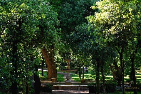 Villa Borghese und Posh Areas Einzigartige Fototour und Workshop