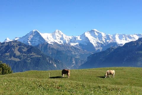 Tour privato di Interlaken e della regione della Jungfrau da Lucerna o Berna