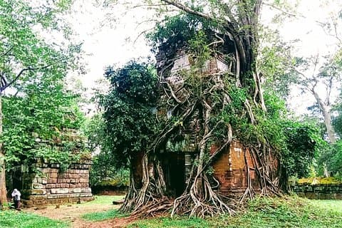1 - Dagstur til Preah Vihear og Koh Ker-tempelet | Kambodsja Exploration
