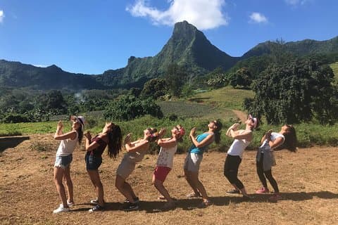 Moorea 4WD Tour Inc. Belvedere, Pineapple Farm, Magic Mountain...