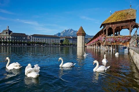 Sortie à la journée à Lucerne au départ de Zurich, incluant une croisière sur le lac de Lucerne