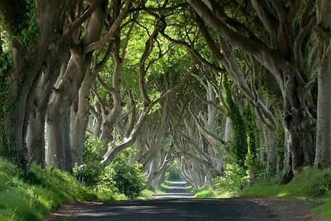 Private Game of Thrones inclusief Giant's Causeway Causeway Coast Rope Bridge