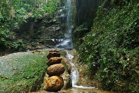 Tijuca Forest Wandertour mit Wasserfällen
