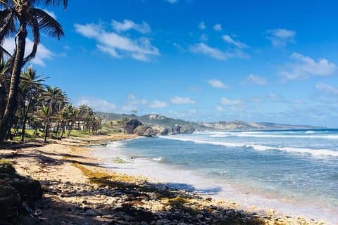 Private Half-Day Barbados Excursion