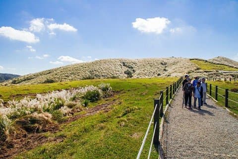 Excursión privada vegetariana de 5 horas: visite Yangmingshan y pruebe la cocina vegetariana