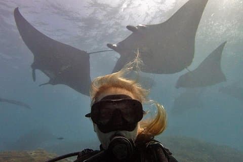 Try Diving at Manta Point Nusa Penida for non-certified divers