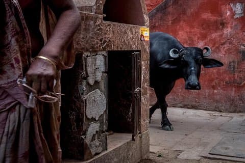 Varanasi: vicoli perplessi e santuari nascosti