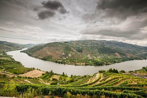 Douro Valley Private Tour från Porto