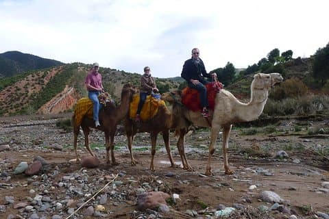Billeder af Imlil Valley og Berber Village