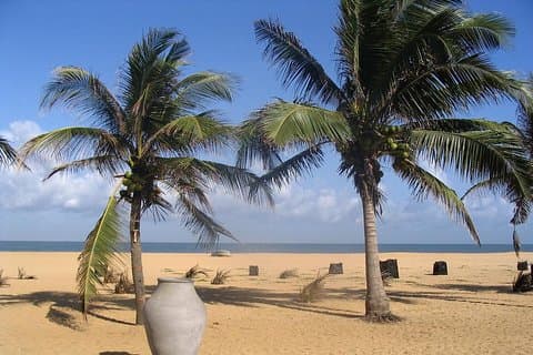 Escursione a terra dal porto di Colombo alla spiaggia di Negombo e ritorno per 7 a 12 persone