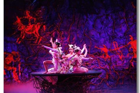 Beijing Akrobatics Night Show