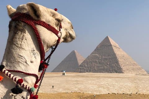 Pyramiden von Gizeh, Sphinx & Ägyptisches Museum mit privatem, qualifiziertem Führer