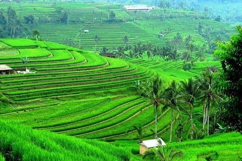 Volledige dag Bali Natural Beauty en Lake Temple Tour