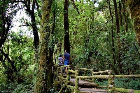 One Day Inthanon National Park (privé tour)