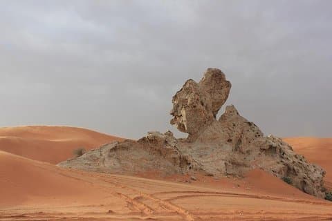 Camel Rock Desert safari Dubai con bbq Cena a bordo di cammello sand boarding e altro