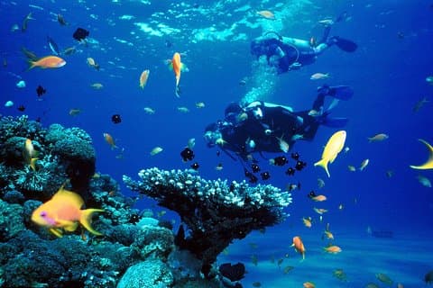 Immersioni A Kusadasi
