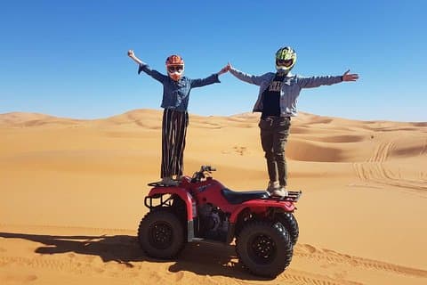 Quad 1 heure dans le Sahara: Merzouga Off Roading Experience: Nature et faune