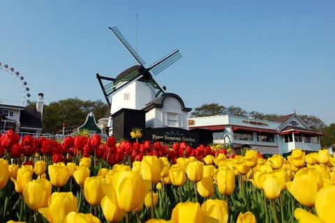 Privat 4 dage Nami Island & Petite France & Seoul & Everland tour