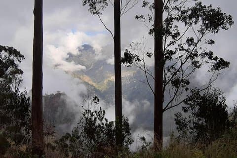 Tour Privado Jardim da Serra Meio dia