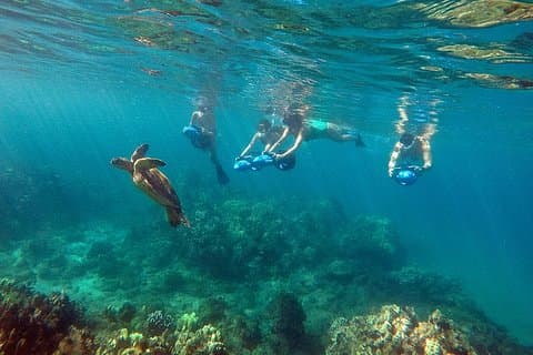 Sea Scooter snorkeltur med foto og video - Wailea Beach