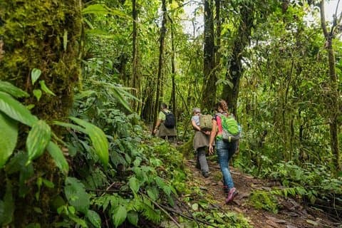 Escursione di 5 giorni nella foresta pluviale dell'Ecuador