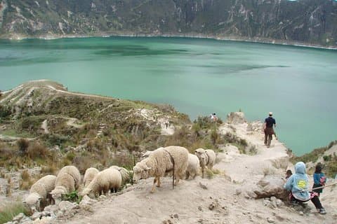 Excursión de un día a la laguna de Quilotoa y la avenida de los Volcanes con entradas