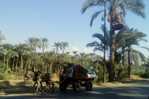 Egypten landsbygden landsbygden livet erfarenhet dag turné