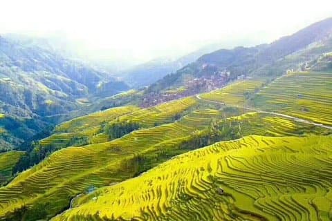 Privat dagstur till Longji ris terrass från Yangshuo