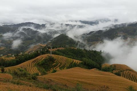 Guilin:Dagstur til Longji Rice Terraces og Yangshuo