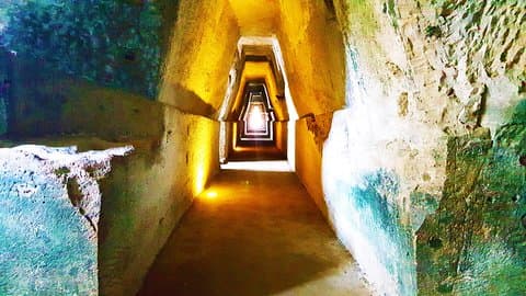 プリアグリアの畑ベア、クマ、ポッツオーリの遺跡を発見する