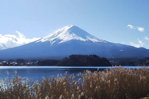 専用ミニバンによる有資格ツアーガイド同行・運転の富士山日帰りツアー