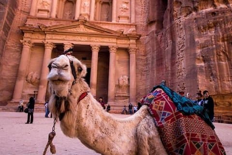 Petra & Wadi Rum: tour di un giorno