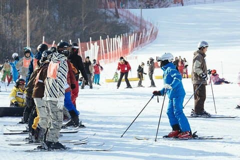 [Privat tur] Nami Island & Ski (Skileksjon, utstyr og klær inkludert)