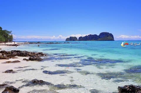 Early Bird Phi Phi Islands heldagstur med speedbåd