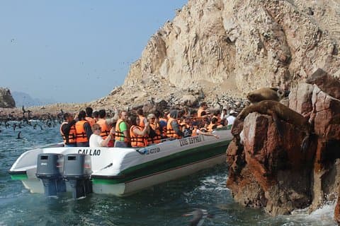 Ballestas Island Tour Sightseeing Boat