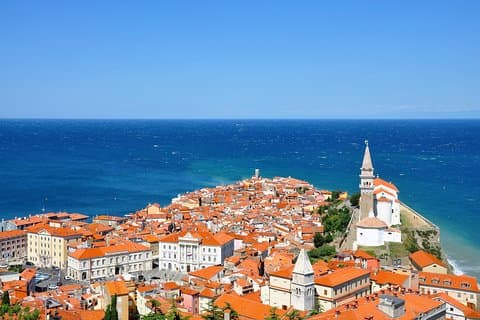Stoeterij Lipica en Piran Tour vanuit Ljubljana