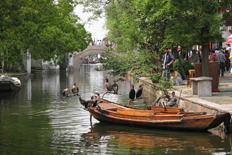 Privat rundtursoverførsel til Suzhou og Zhouzhuang fra Shanghai