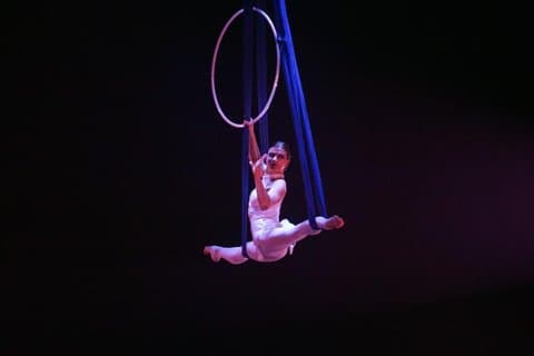 Private Tour: Shanghai Acrobatic Show and Authentic Dim Sum