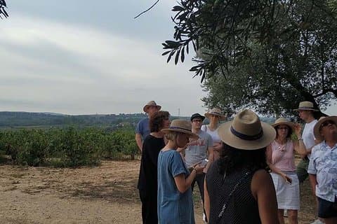 Private Wine & Cava Tasting Tour In Penedes with hotel pick up