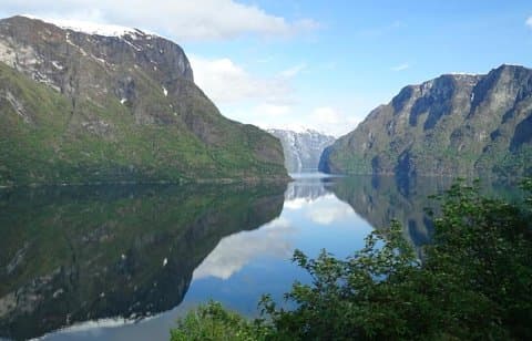 Bergen til Flåm "Fjordenes konge" enveis eller tur-retur cruisebillett