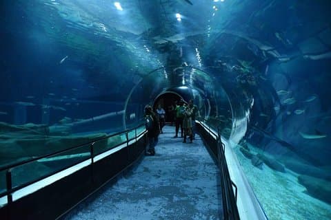 Aquario mit olympischem Boulevard Rio de Janeiro